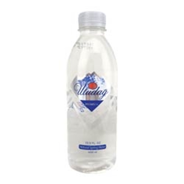 Picture of Premium Spring Water 400ml*12 pcs (PET)